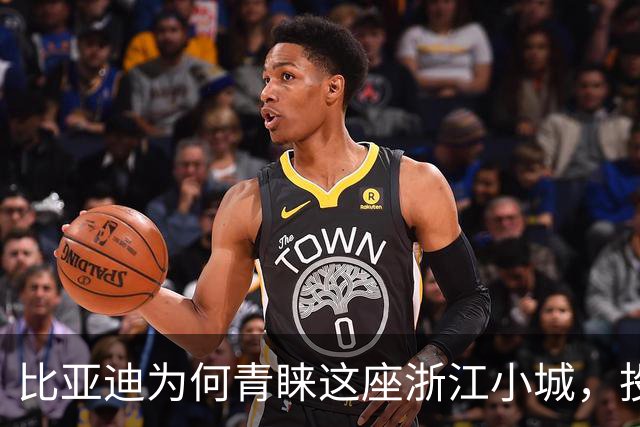 比亚迪为何青睐这座浙江小城，投资再创新高？